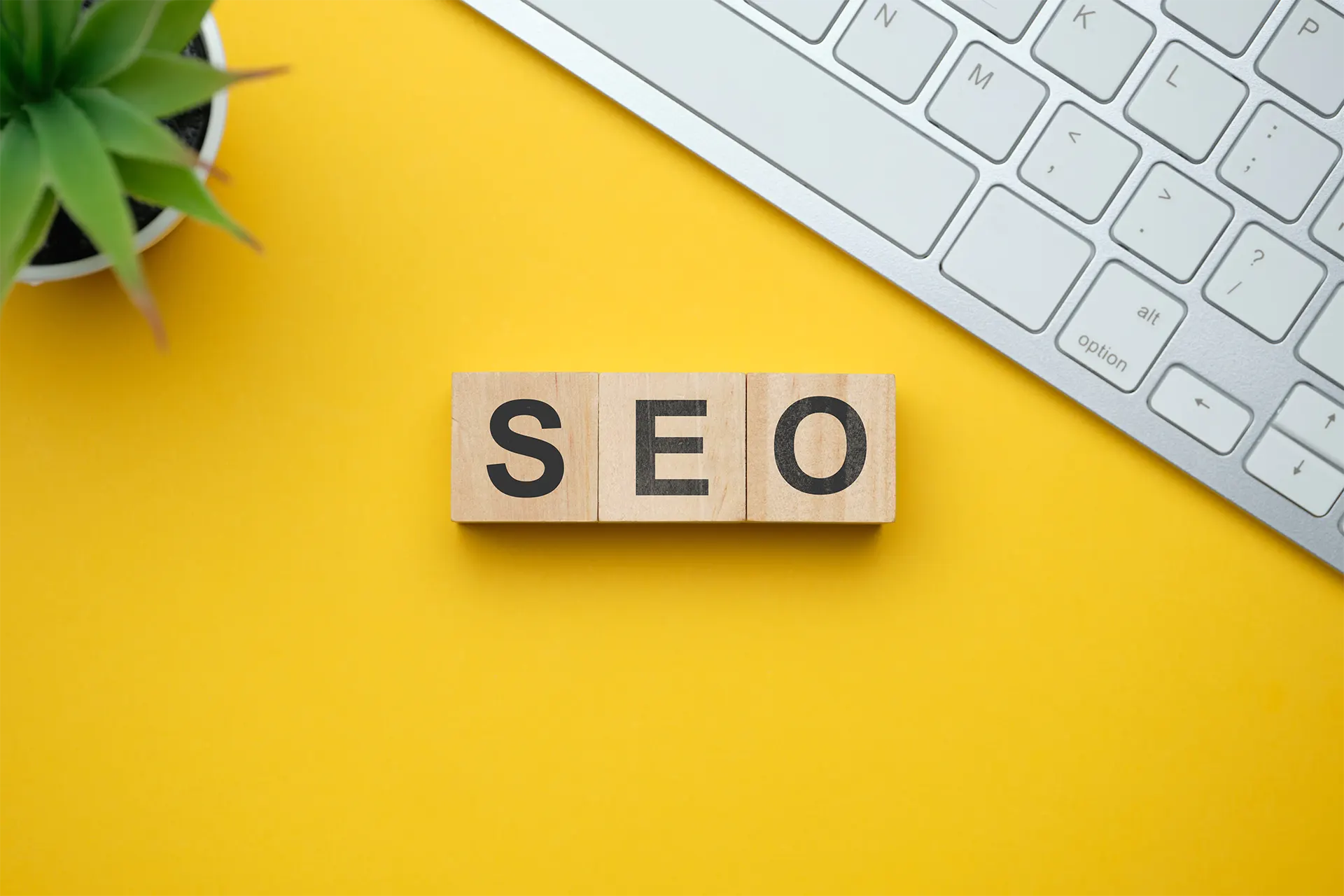 Search Engine Optimization
